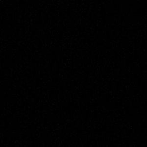 Meet your Posher, Gavin